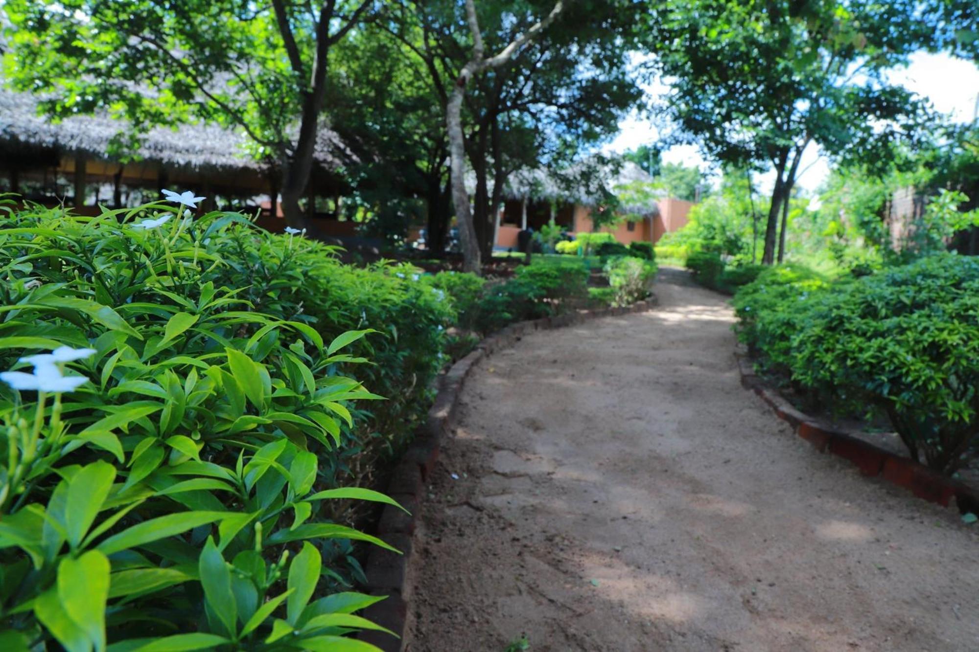 Cabanas By Cloudz Sigiriya Exterior foto