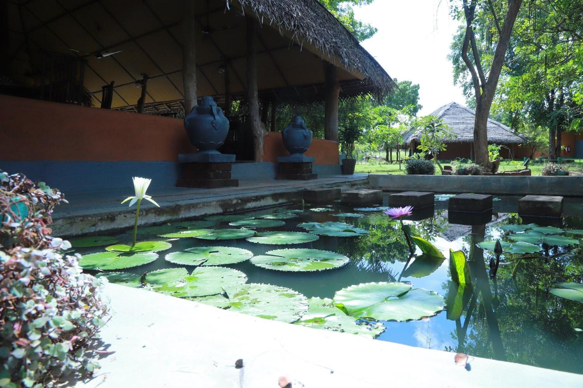 Cabanas By Cloudz Sigiriya Exterior foto